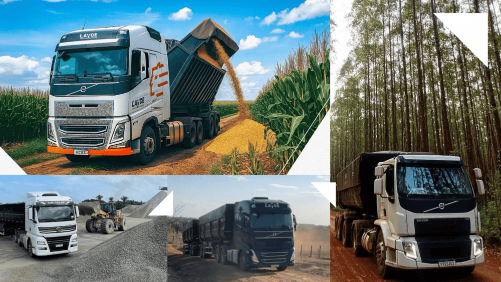 Presente no MA, TO e PA